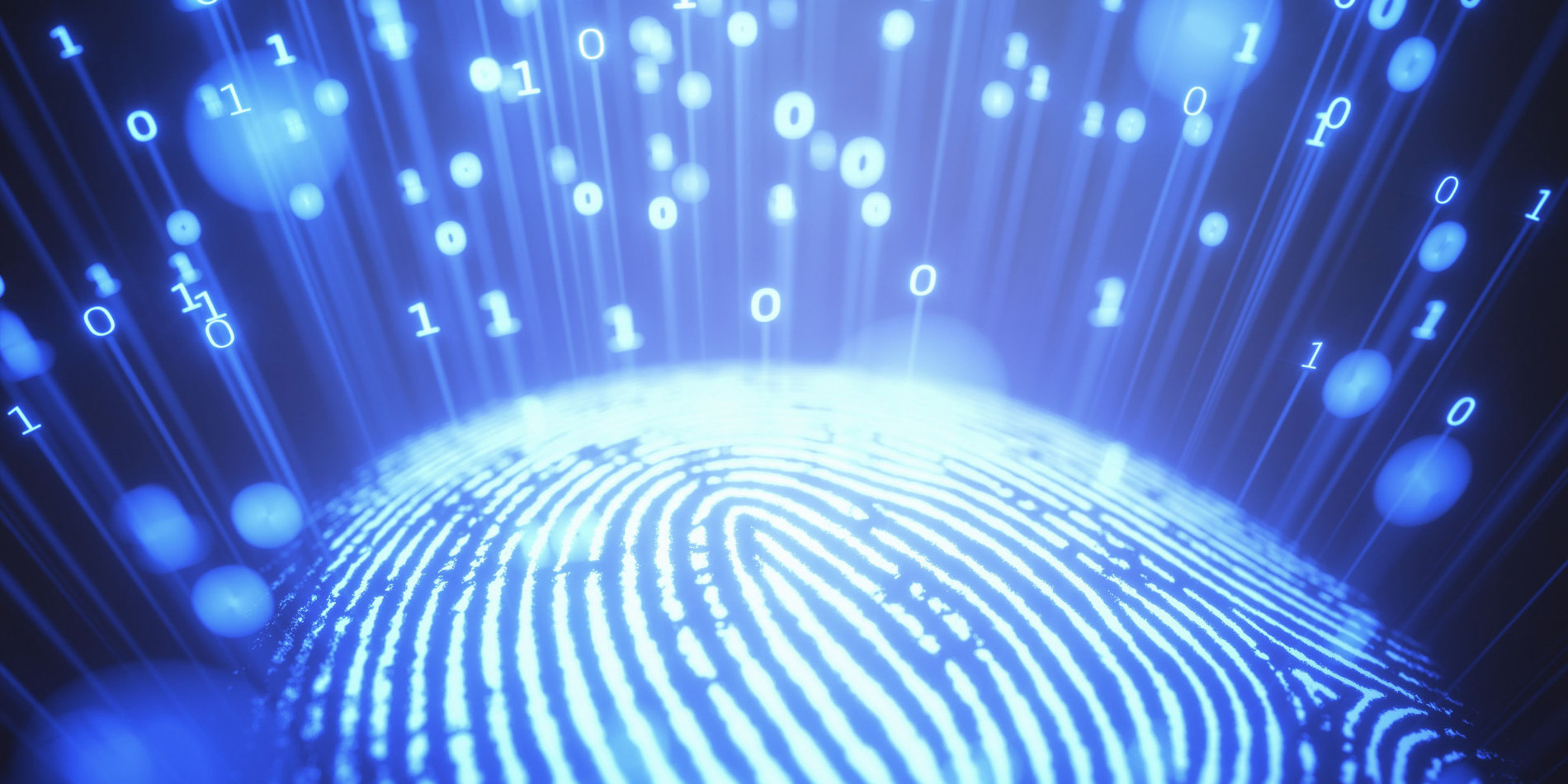 Fingerprint with numbers surrounding it