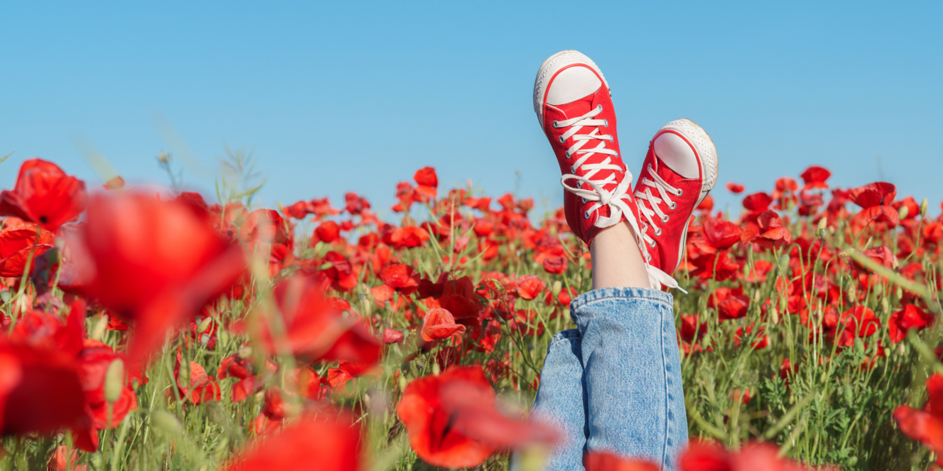 Persons legs sticking up from red flower bed and they're wearing red sneakers