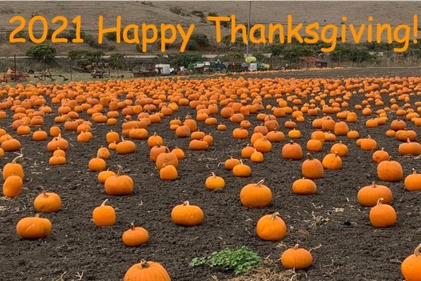 Pumpkin patch with the text "2021 Happy Thanksgiving" at the top of the photo in orange