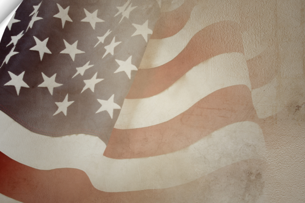 American flag zoom background