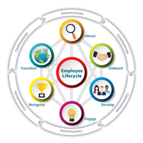 Employee lifecycle stages infographic: Attract, Onboard, Develop, Engage, Recognize, Transition